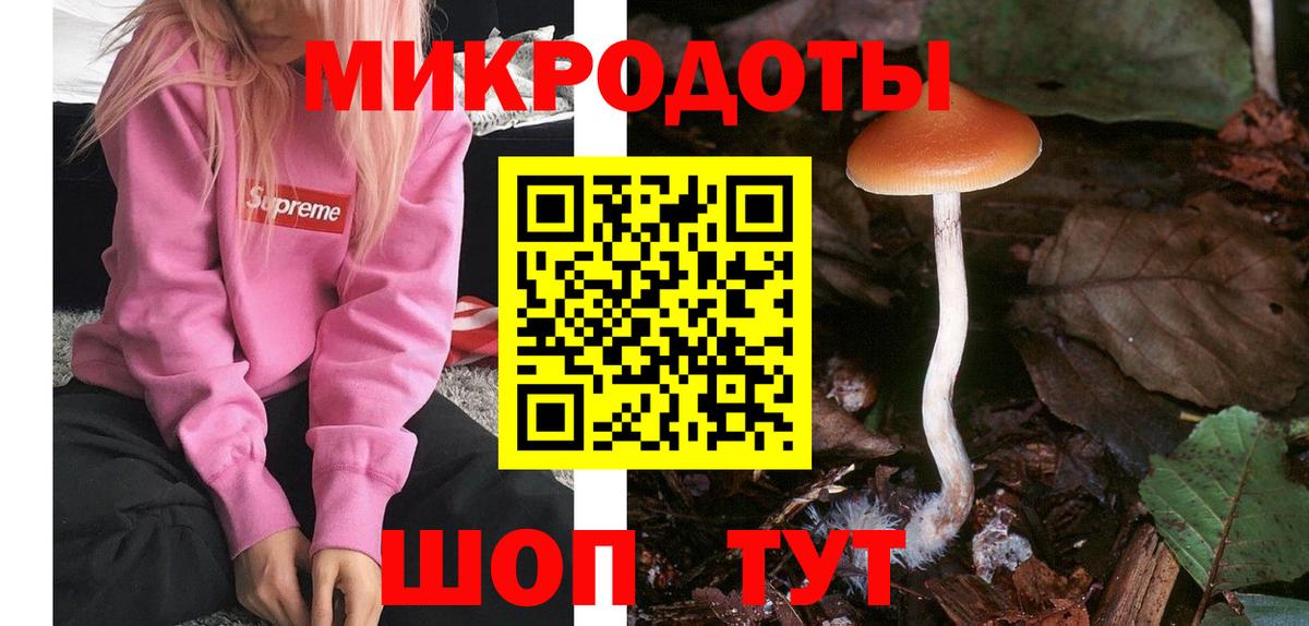 Галлюциногенные грибы Psilocybine cubensis  Галлюциногенные грибы Psilocybine cubensis  Канаш  Вход с VPN 