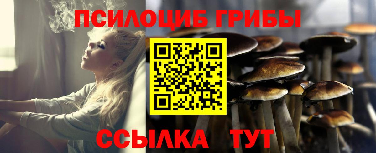 Псилоцибиновые грибы MAGIC MUSHROOMS Канаш